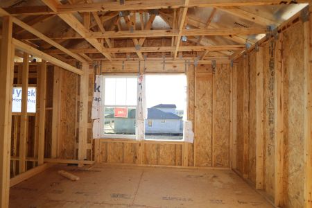 New construction Single-Family house 12114 Hilltop Farms Drive, Dade City, FL 33525 Alenza- photo 51 51