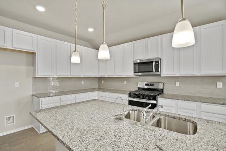New construction Single-Family house 1512 Spechts Ranch, New Braunfels, TX 78132 - photo 10 10