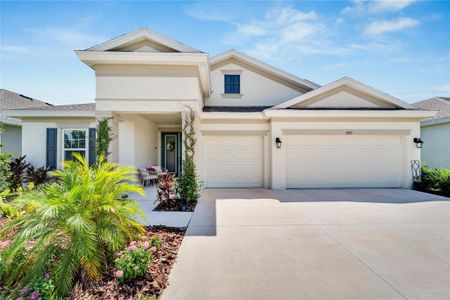 New construction Single-Family house 5995 Golden Nettle Drive, Apollo Beach, FL 33572 - photo 0 0