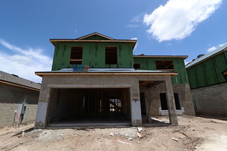 New construction Single-Family house 31801 Sapna Chime Drive, Wesley Chapel, FL 33545 Alenza- photo 17 17
