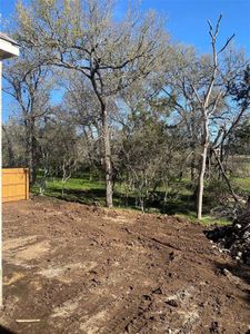 New construction Single-Family house 257 Wood Thrush Run, Kyle, TX 78640 213 Plan- photo 19 19