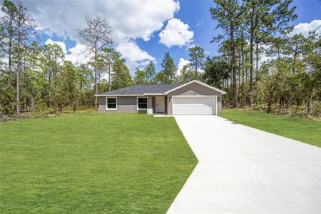 New construction Single-Family house 117 Nw Sparrow Road, Dunnellon, FL 34431 - photo 0