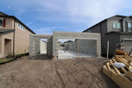 New construction Single-Family house 2852 Misty Marble Drive, Zephyrhills, FL 33540 Castellana- photo 10 10