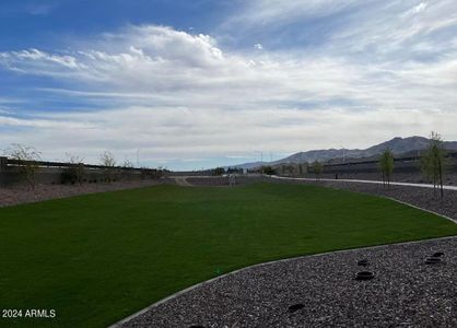 Estrella Crossing Grass area