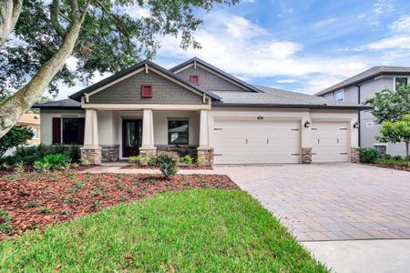 New construction Single-Family house Spring Hill, Brooksville, FL 34613 - photo 1 1