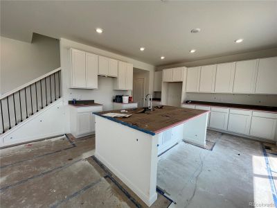 New construction Single-Family house 3975 N Picadilly Court, Aurora, CO 80019 Pinnacle- photo 11 11