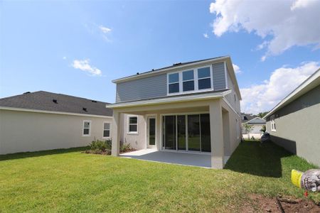 New construction Single-Family house 5932 Golden Nettle Drive, Apollo Beach, FL 33572 - photo 34 34