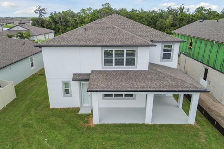 New construction Single-Family house 4939 Eagle Rock Drive, Wimauma, FL 33598 Mira Lago- photo 24 24