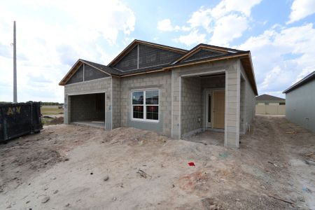 New construction Single-Family house 4837 Foxglove Circle, Lakeland, FL 33811 Picasso- photo 11 11