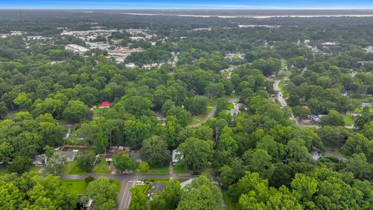 New construction Single-Family house 1565 Juniper Street, Charleston, SC 29407 - photo 60 60