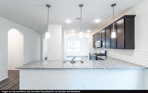 New construction Single-Family house 14303 Pecan Maple Drive, Crosby, TX 77532 - photo 10 10