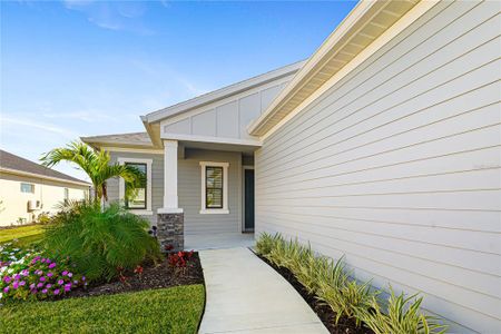 New construction Single-Family house 14264 Skipping Stone Loop, Parrish, FL 34219 - photo 5 5