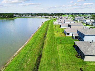 New construction Single-Family house 1409 Tropical Oasis Avenue, Plant City, FL 33565 - photo 29 29