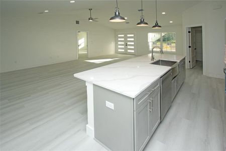 New construction Single-Family house 3473 W Webster Pl, Citrus Springs, FL 34433 - photo 4 4