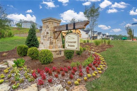 Crescent Pointe at Great Sky by David Weekley Homes in Canton - photo 3