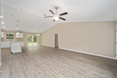 New construction Single-Family house 11486 Sw 177Th Court, Dunnellon, FL 34432 - photo