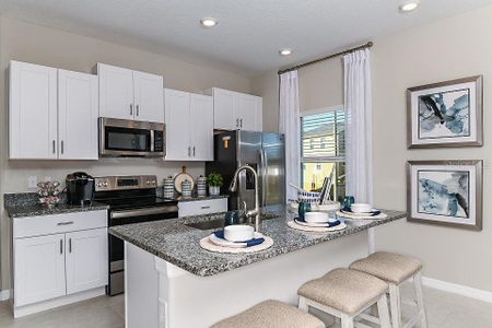 New construction Townhouse house 873 Tennyson Mill Circle, Tampa, FL 33619 - photo