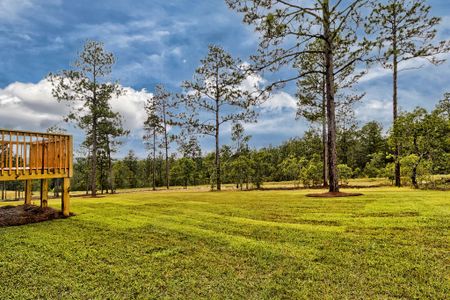 New construction Single-Family house 13 Catchers Circle, Four Oaks, NC 27524 - photo 57 57