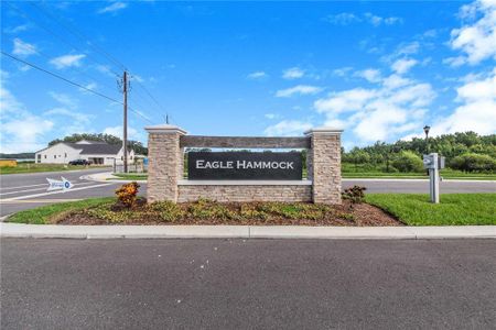 Eagle Hammock by Highland Homes of Florida in Eagle Lake - photo