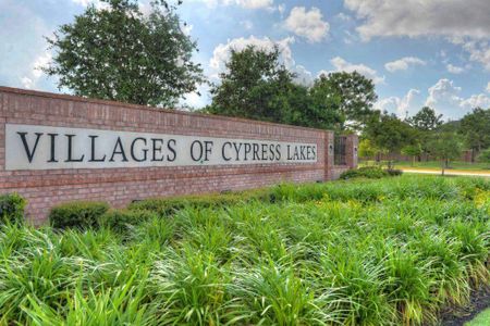 Villages of Cypress Lakes by Partners in Building in Cypress - photo