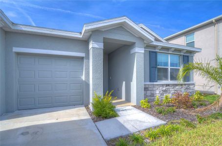 New construction Single-Family house 12463 Shining Willow Street, Riverview, FL 33579 Camden- photo 4 4