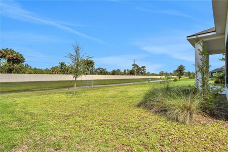 New construction Single-Family house 6239 Woodhaven Village Drive, Port Orange, FL 32128 - photo 51 51