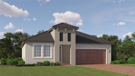 New construction Single-Family house 10343 Banyan Breeze Boulevard, Land O' Lakes, FL 34638 - photo 0 0