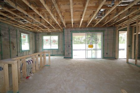 New construction Single-Family house 12114 Hilltop Farms Drive, Dade City, FL 33525 Alenza- photo 54 54