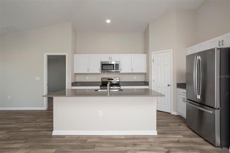 New construction Single-Family house 4115 Gerbera Daisy Avenue, Lake Hamilton, FL 33851 Valeria- photo