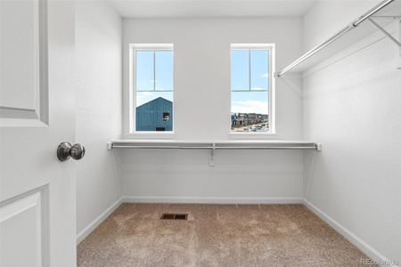 New construction Single-Family house 8944 Whiteclover Street, Littleton, CO 80125 Eagle- photo 17 17