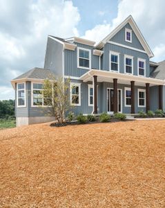 New construction Single-Family house Wilbanks Drive, Charlotte, NC 28278 - photo 133 133