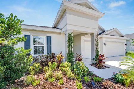 New construction Single-Family house 5995 Golden Nettle Drive, Apollo Beach, FL 33572 - photo 6 6