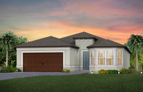 New construction Single-Family house Medina, Cypress Bend Drive, Wesley Chapel, FL 33545 - photo