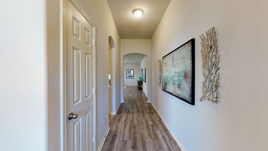Cypress Green by Colina Homes in Hockley - photo 32 32