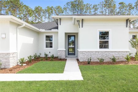 New construction Single-Family house 20 Rambling Ln, Palm Coast, FL 32164 - photo