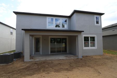 New construction Single-Family house 12114 Hilltop Farms Drive, Dade City, FL 33525 Alenza- photo 121 121