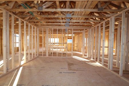 New construction Single-Family house 12114 Hilltop Farms Drive, Dade City, FL 33525 Alenza- photo 14 14