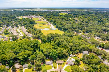 New construction Single-Family house 916 Dills Bluff Road, Charleston, SC 29412 - photo 31 31