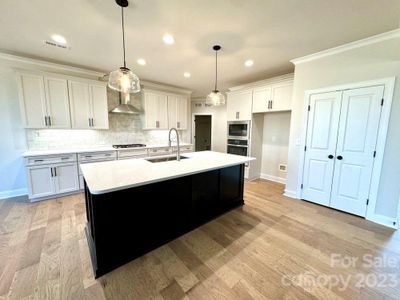 New construction Single-Family house 4030 Sagemont Drive Nw, Unit 21, Concord, NC 28027 - photo 6 6