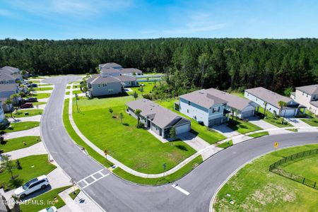 New construction Single-Family house 472 Thistleton Way, Saint Augustine, FL 32092 - photo 25 25