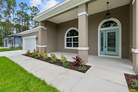 New construction Single-Family house 76 Edith Pope Drive, Palm Coast, FL 32164 - photo 15 15