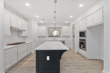 New construction Single-Family house 699 Billowing Way, Kyle, TX 78640 Lincoln Plan- photo