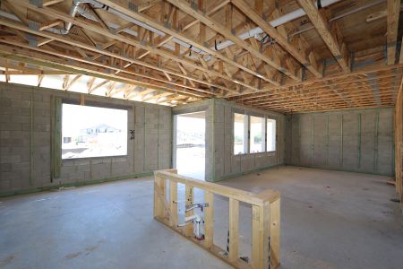 New construction Single-Family house 31870 Sapna Chime Drive, Wesley Chapel, FL 33545 Casanova- photo 17 17