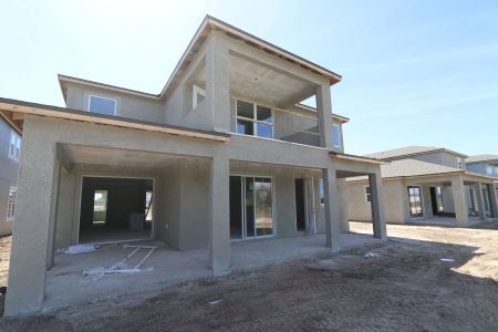 New construction Single-Family house 7795 Notched Pine Bend, Wesley Chapel, FL 33545 Sonoma II- photo 52 52