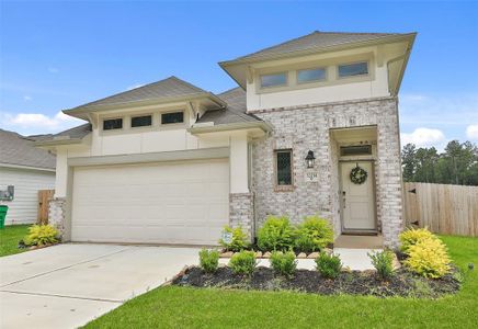 New construction Single-Family house 32014 Towering Birch Trail, Conroe, TX 77385 - photo 3 3