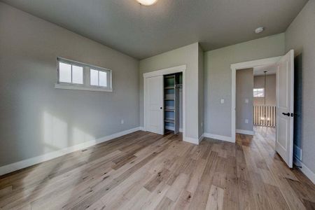 New construction Single-Family house 8412 Cromwell Circle, Windsor, CO 80528 - photo 133 133