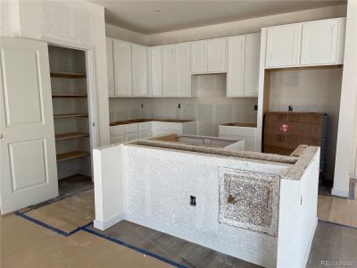 New construction Single-Family house 637 Lillibrook Place, Erie, CO 80026 Spire- photo 3 3