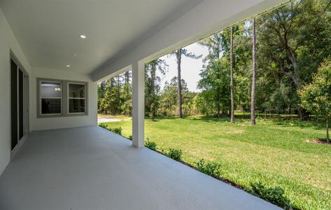 New construction Single-Family house 42 N Spend A Buck Drive, Inverness, FL 34453 - photo 30 30