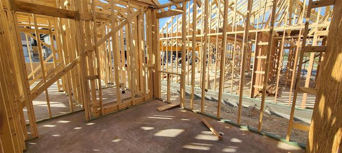 New construction Single-Family house 108 Pinyon Pine Pass, Hutto, TX 78634 Eleanor Homeplan- photo 8 8