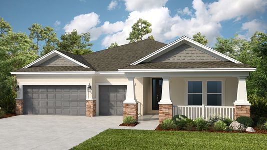 New construction Single-Family house Java, 33314 Castaway Loop, Wesley Chapel, FL 33543 - photo